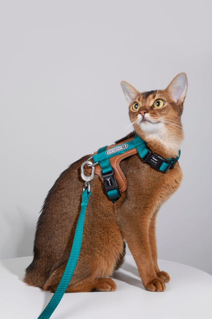 Momopets™ BOBO Series – Premium Cat Leather H-Harness Set