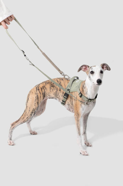 Momopets™ Valley Series – Quick-Fit Anti-Pull Dog Harness
