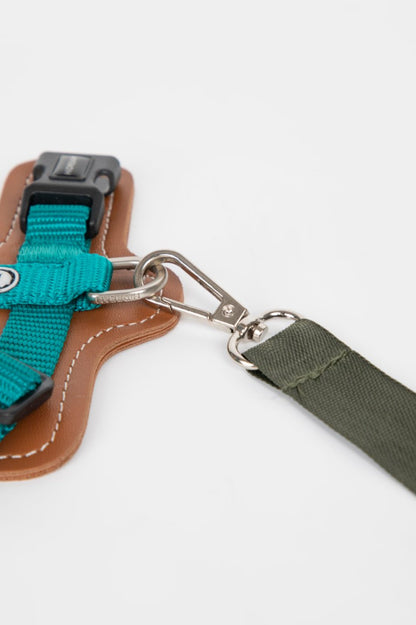 Color-Block Shoulder Pet Travel Bag | Momopets™ GoBuddy Series