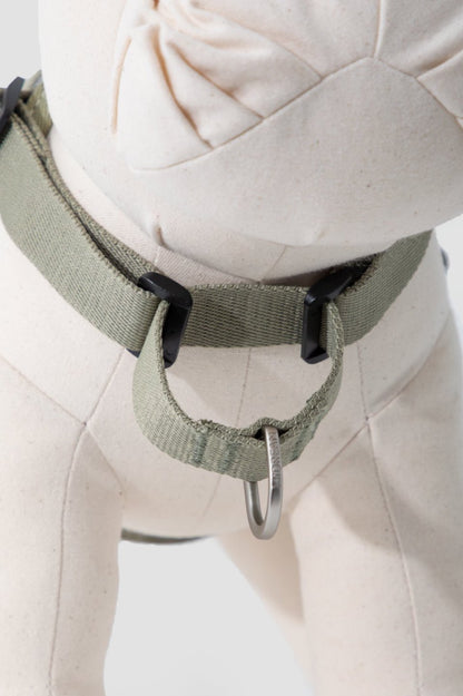 Momopets™ Valley Series – Quick-Fit Anti-Pull Dog Harness