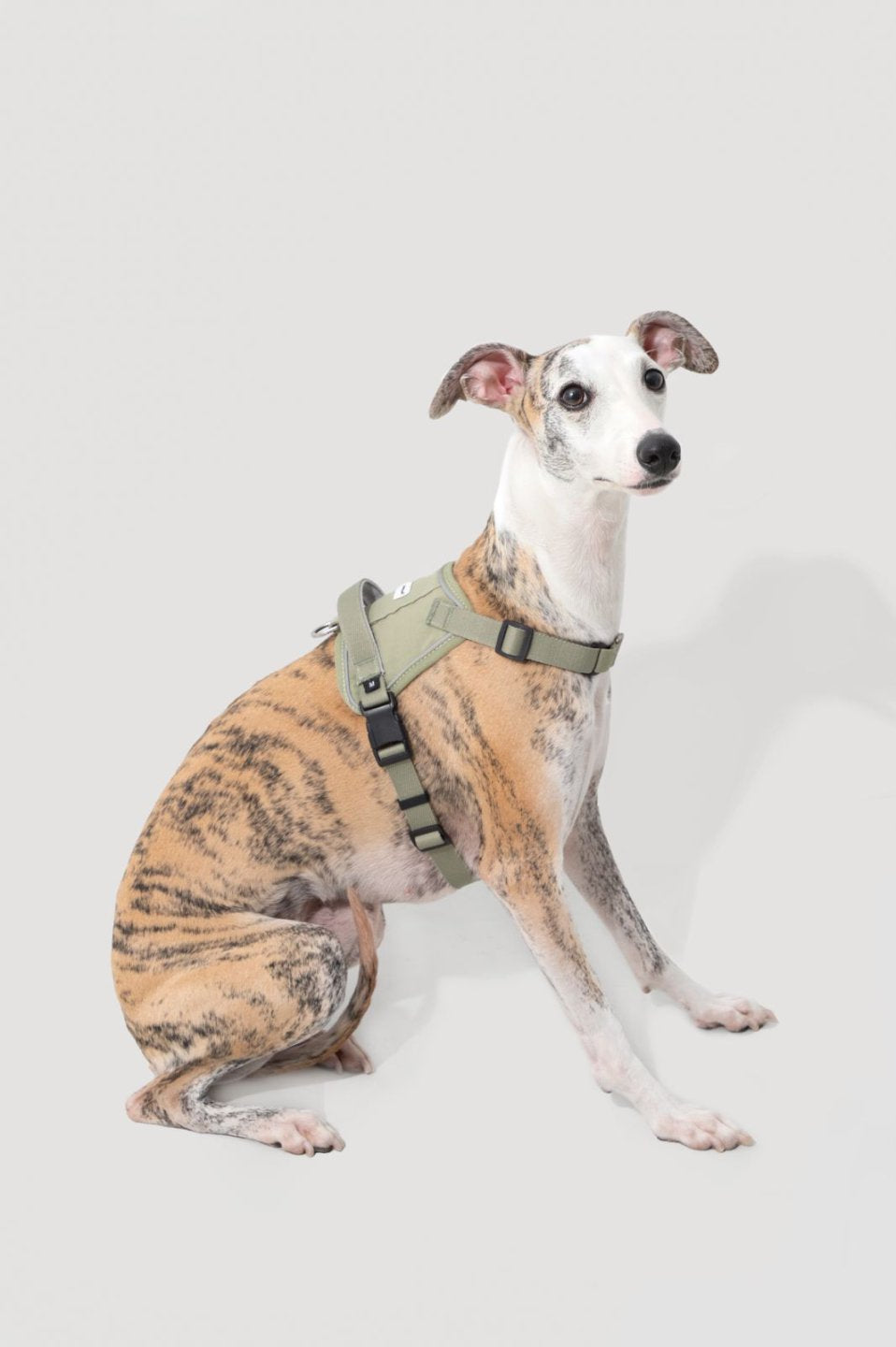 Momopets™ Valley Series – Quick-Fit Anti-Pull Dog Harness