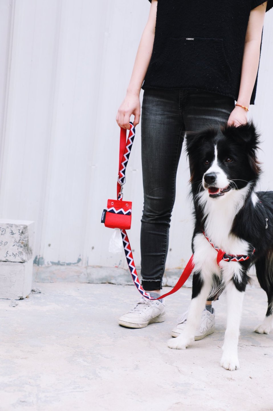 Momopets™ Rainbow Series – Felt Dog Poop Bag Holder