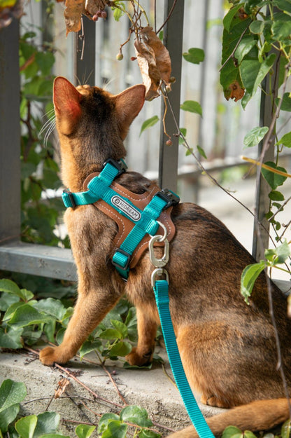 Momopets™ BOBO Series – Premium Cat Leather H-Harness Set