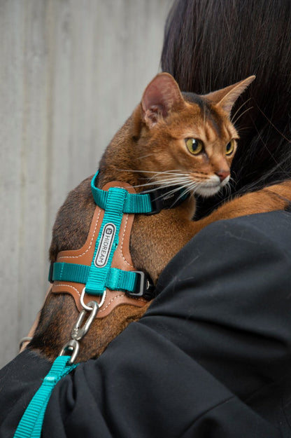 Momopets™ BOBO Series – Premium Cat Leather H-Harness Set