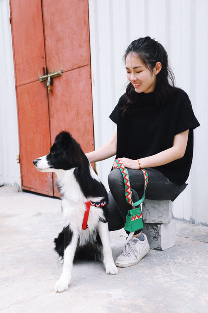 Momopets™ Rainbow Series – Felt Dog Poop Bag Holder