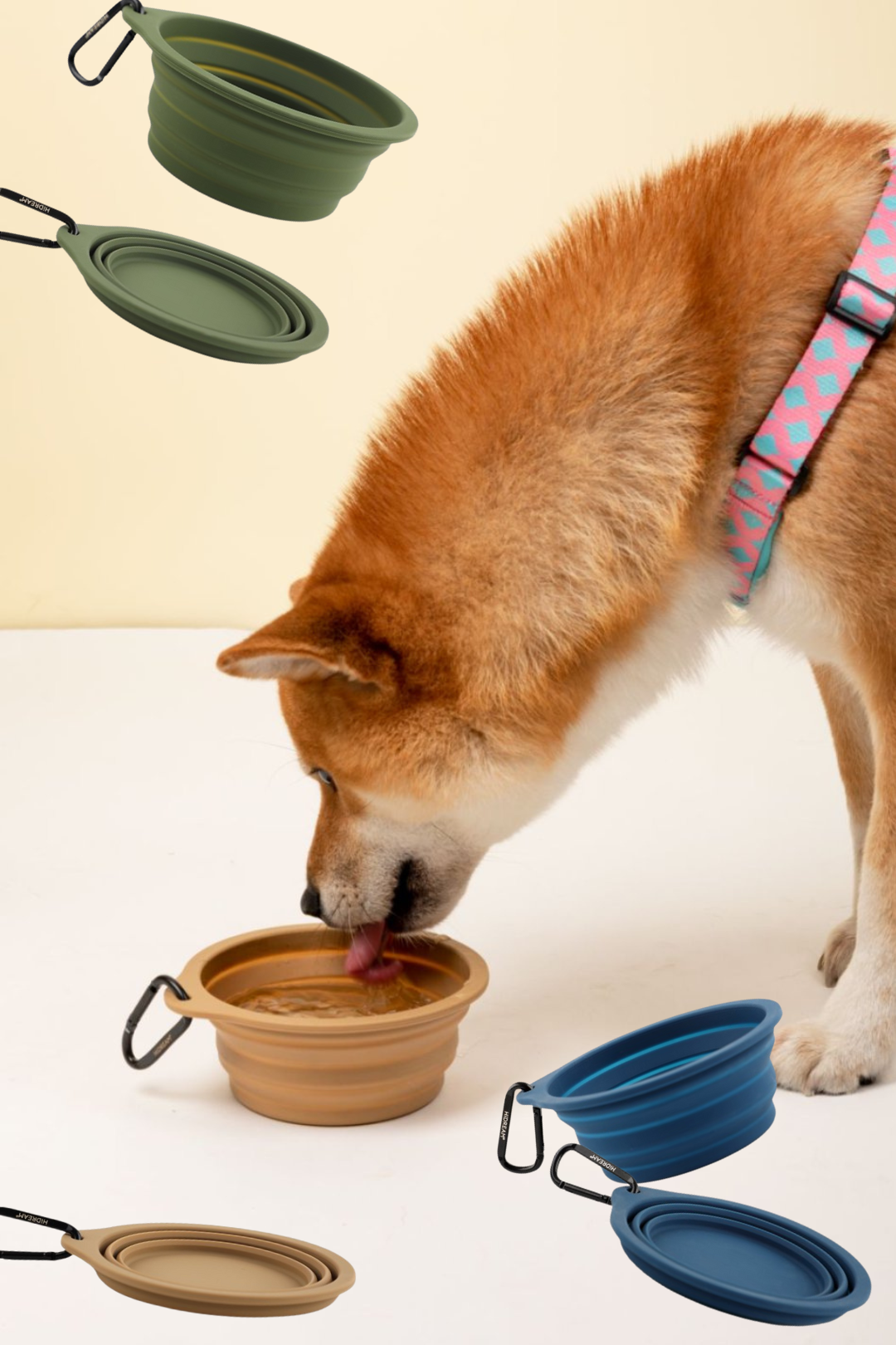 Foldable Travel Pet Bowl | Momopets™ GoBuddy Series