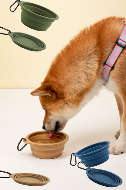 Foldable Travel Pet Bowl | Momopets™ GoBuddy Series