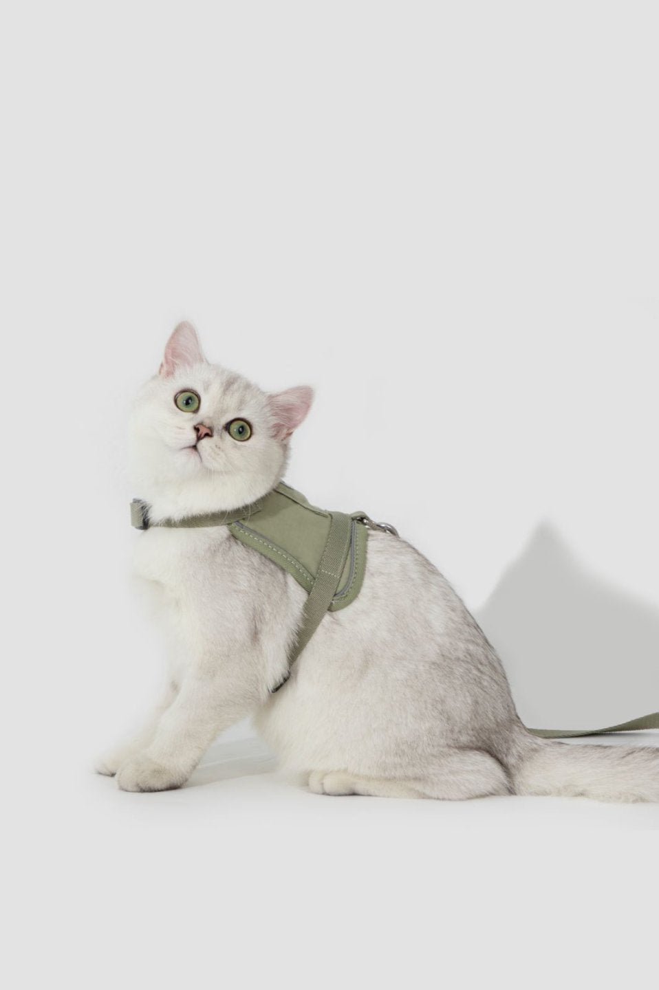 MomoPets™ Valley Series Mini - Vest Harness &amp; Leash Set