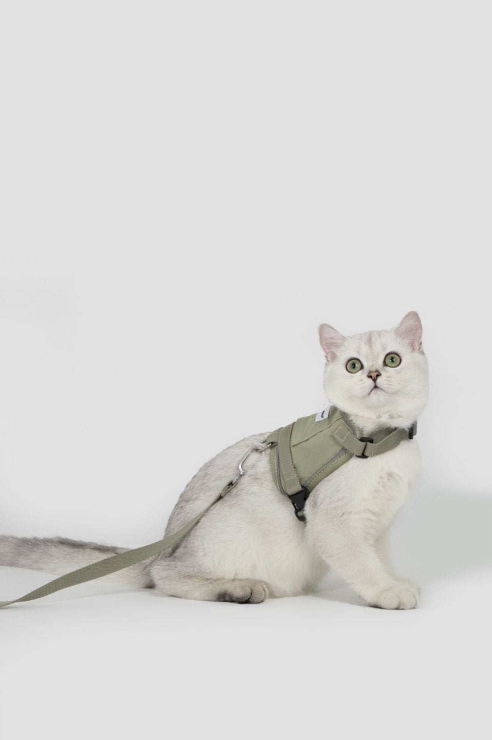 MomoPets™ Valley Series Mini - Vest Harness &amp; Leash Set