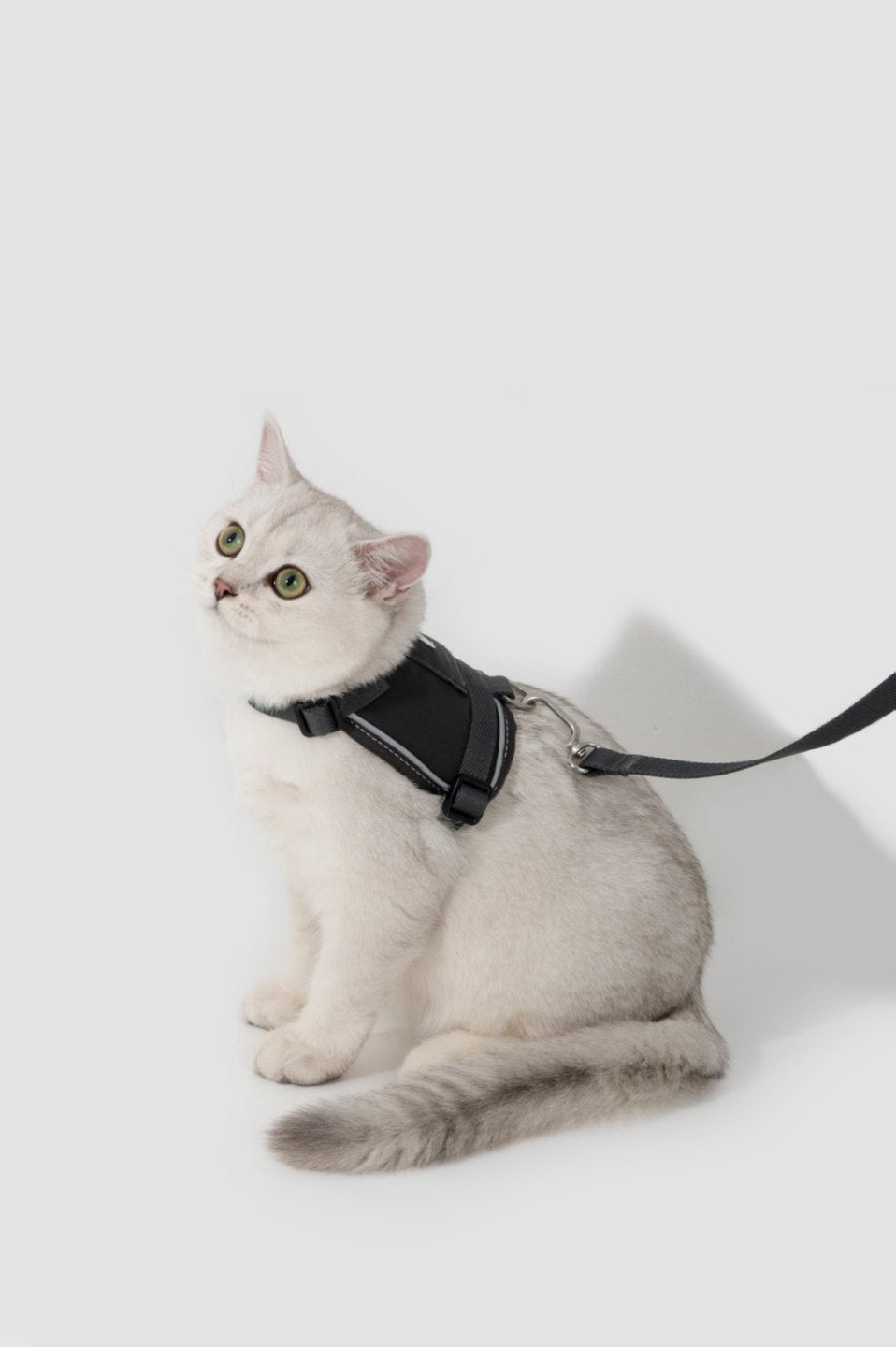 MomoPets™ Valley Series Mini - Vest Harness &amp; Leash Set