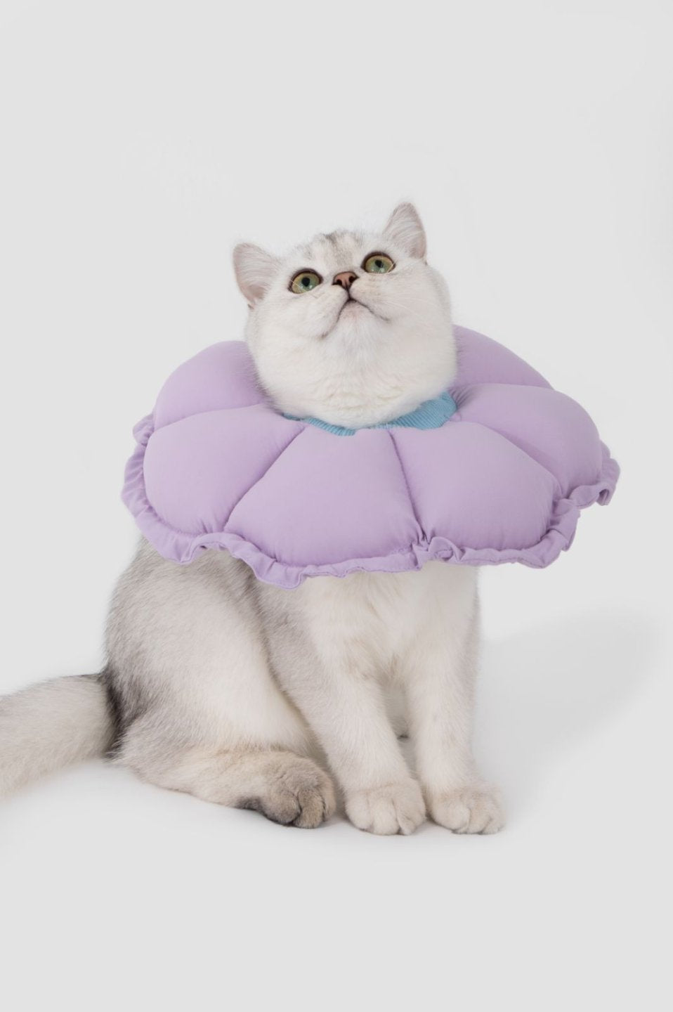 Momopets™ Soothing Series Elizabeth Collar – Cool Purple