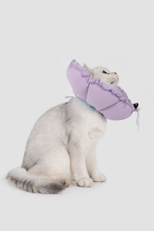 Momopets™ Soothing Series Elizabeth Collar – Cool Purple