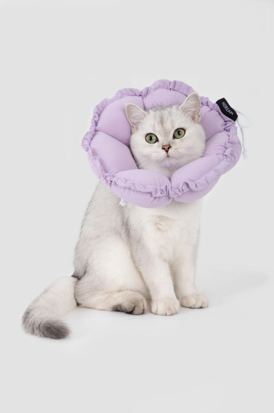 Momopets™ Soothing Series Elizabeth Collar – Cool Purple