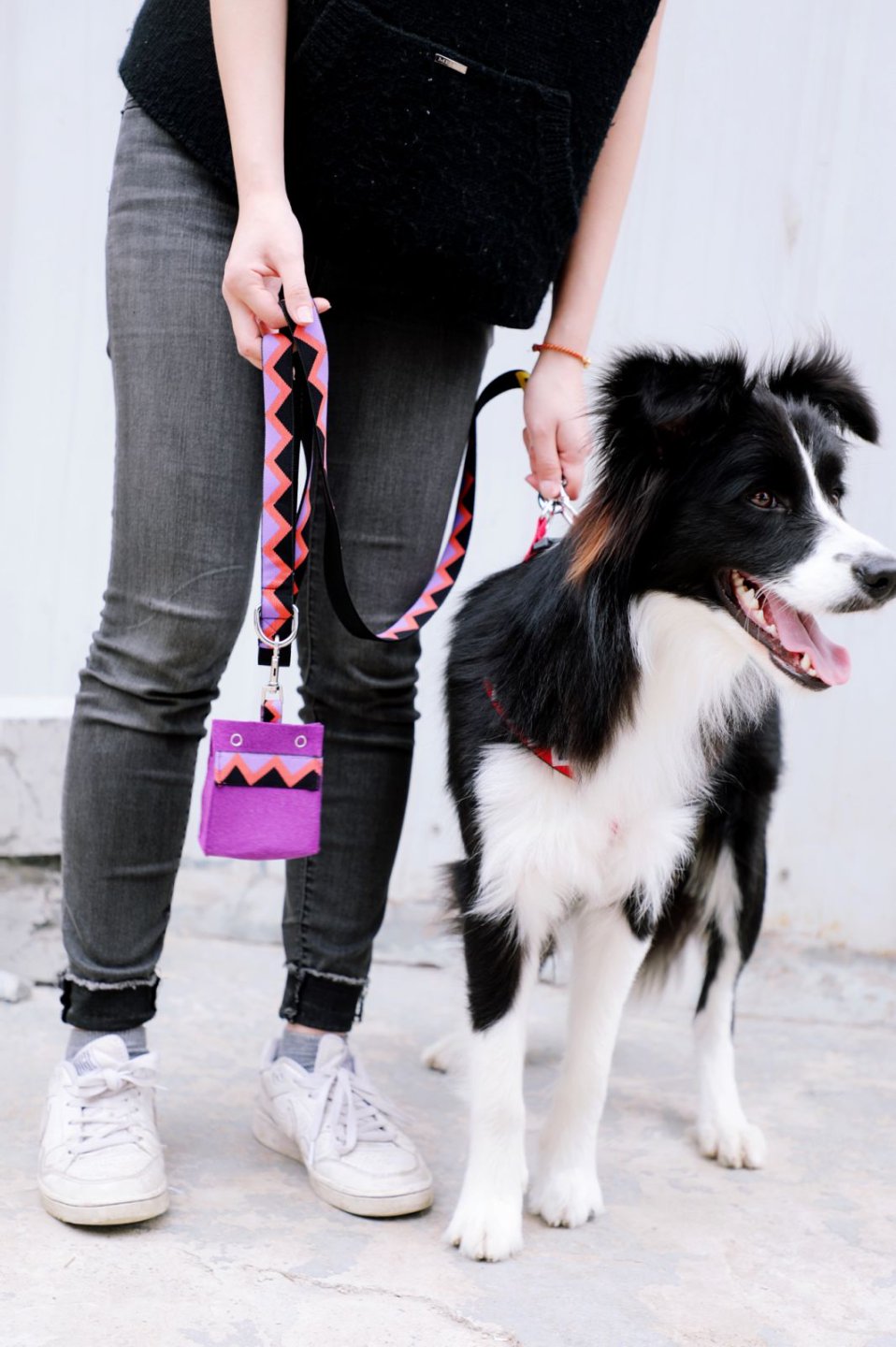 Momopets™ Rainbow Series – Felt Dog Poop Bag Holder