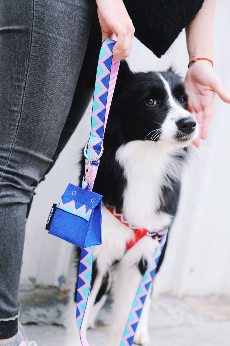 Momopets™ Rainbow Series – Felt Dog Poop Bag Holder