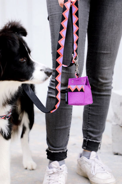 Momopets™ Rainbow Series – Felt Dog Poop Bag Holder