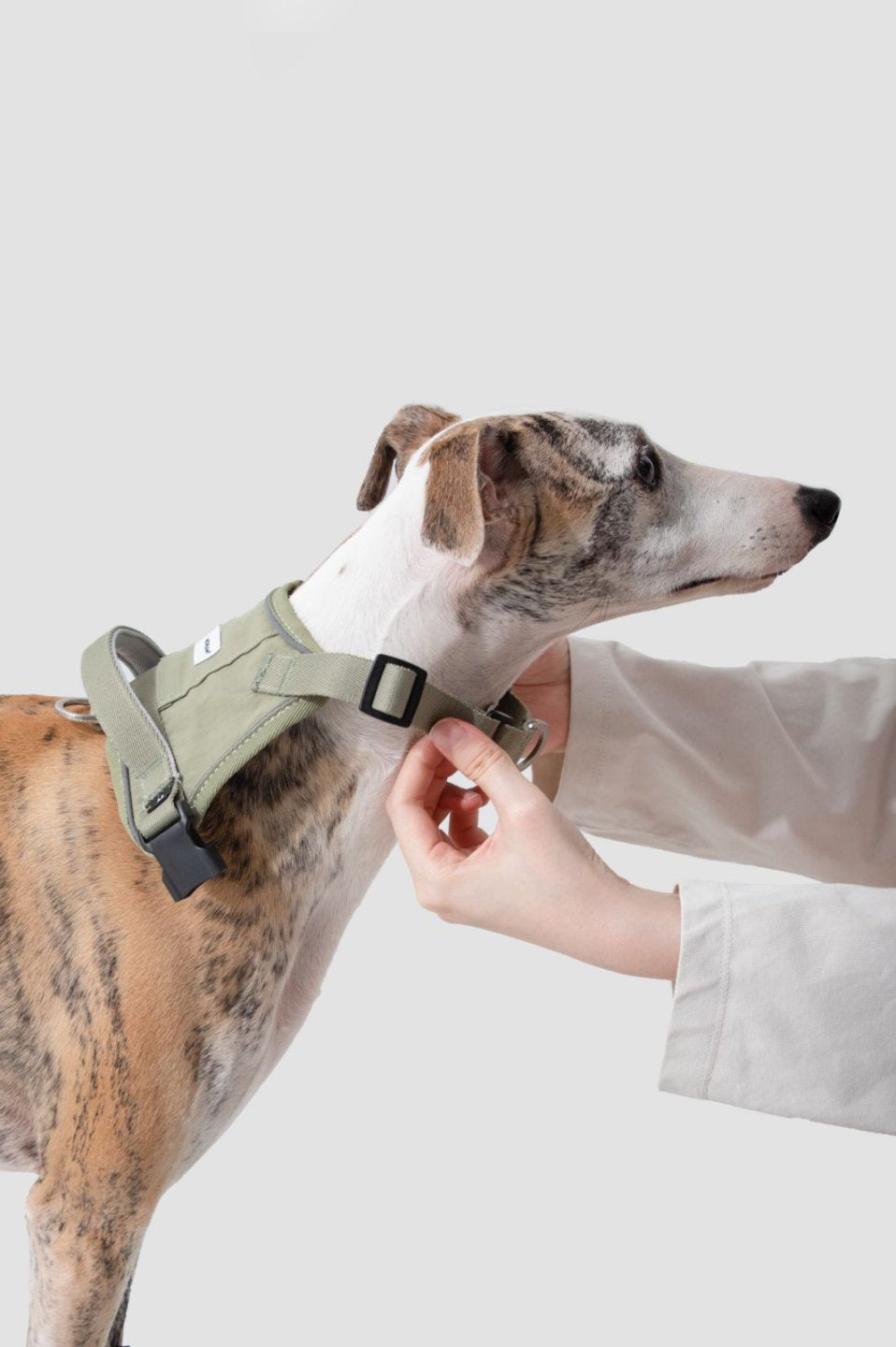 Momopets™ Valley Series – Quick-Fit Anti-Pull Dog Harness